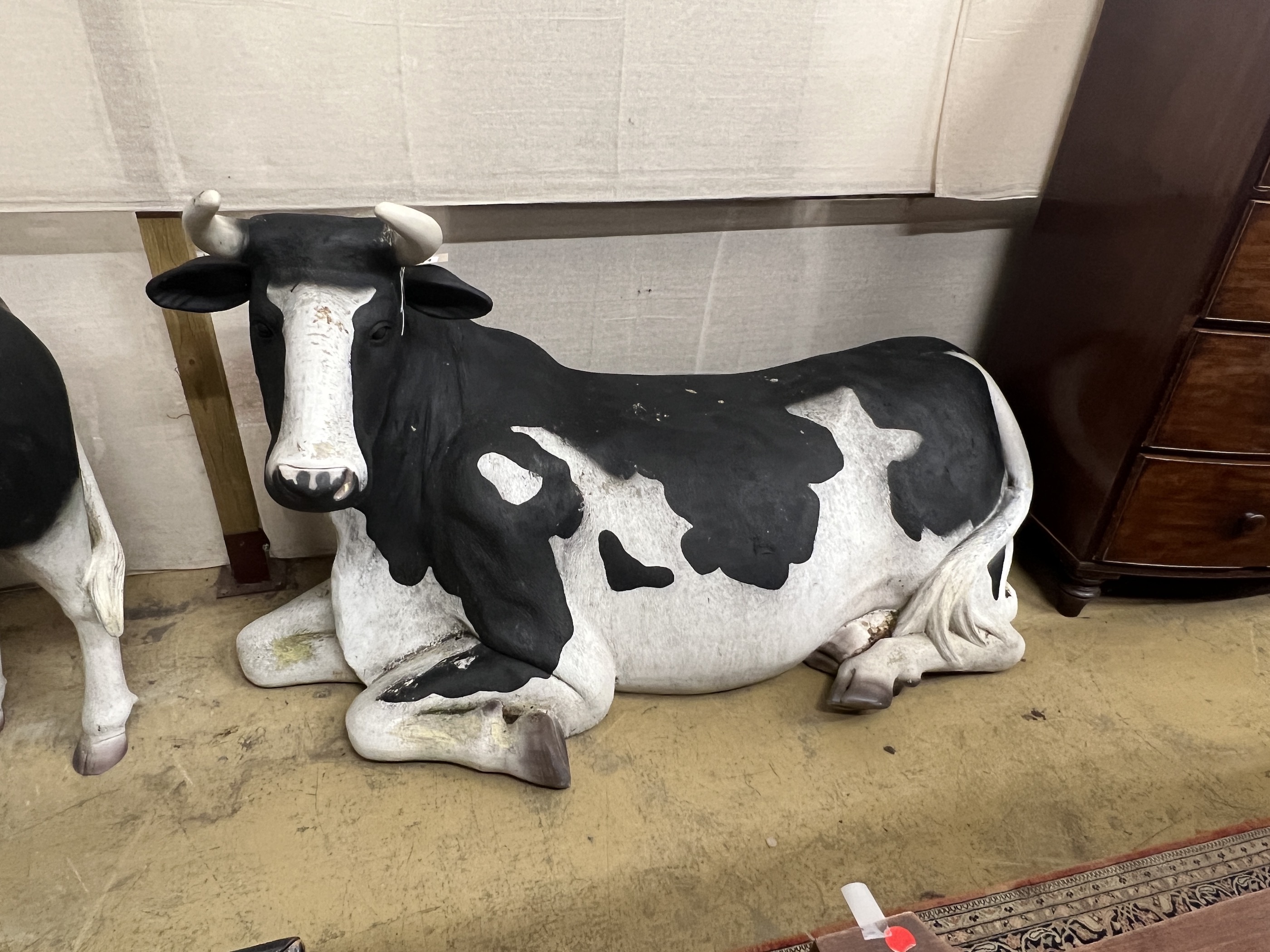 A life size composition recumbent Friesian cow garden ornament, length 180cm, height 103cm